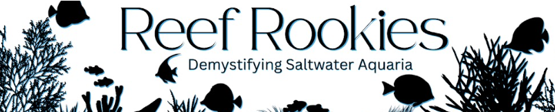 Reef Rookies with Logan