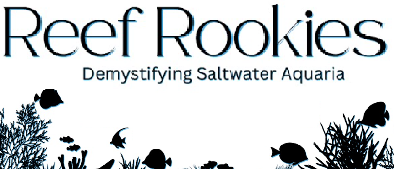 Reef Rookies with Logan