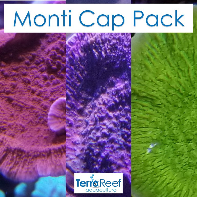 Monti Cap Pack