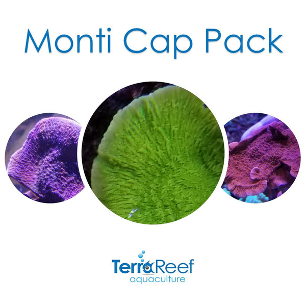 Monti Cap Pack
