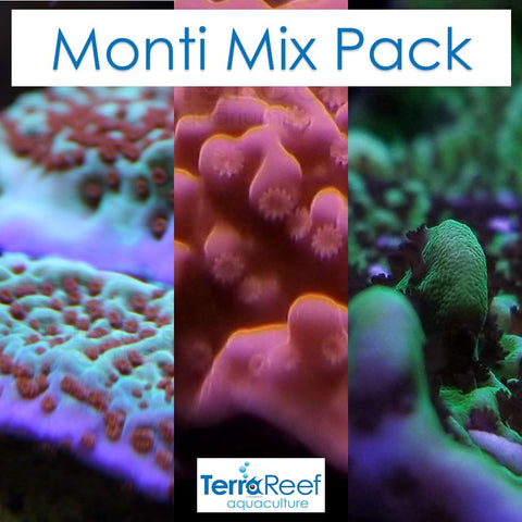Monti Mix Pack