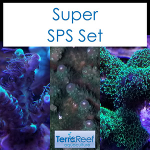 Super SPS Set