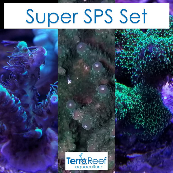 Super SPS Set