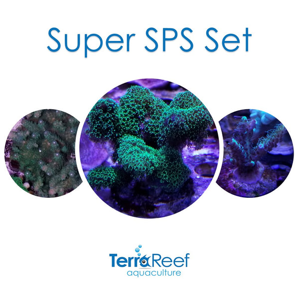 Super SPS Set