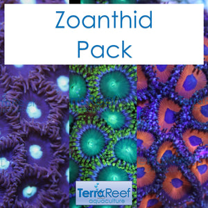 Zoanthid Coral Pack